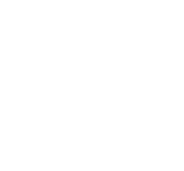 Logo BOX Experience