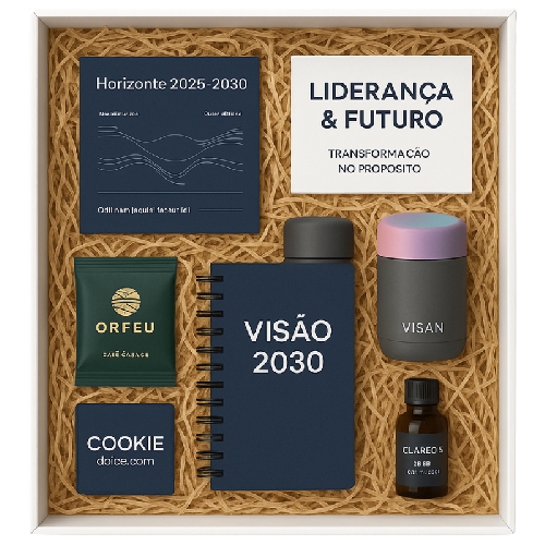 BOX LIDERANÇA E FUTURO